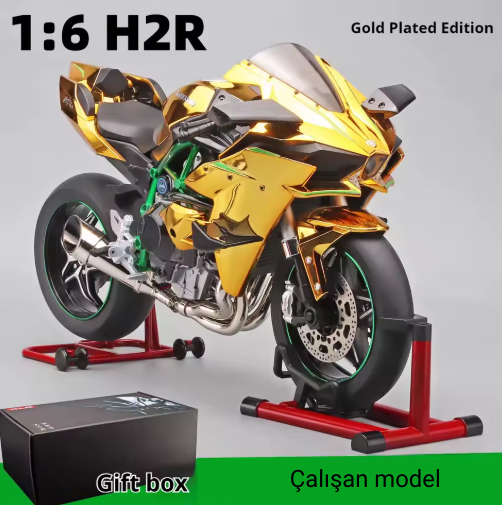 1:6 Ölçek Kawasaki H2R Çalışan Model